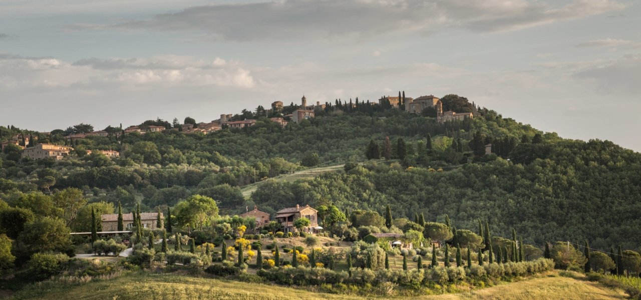best tuscany wine tours - Wine Paths